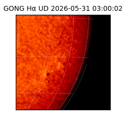 gong - 2026-05-31T03:00:02
