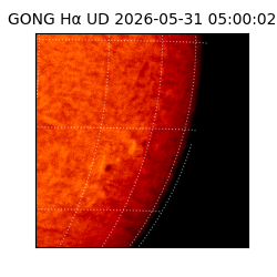 gong - 2026-05-31T05:00:02