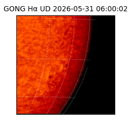 gong - 2026-05-31T06:00:02