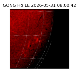 gong - 2026-05-31T08:00:42