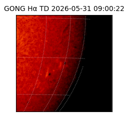 gong - 2026-05-31T09:00:22