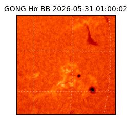 gong - 2026-05-31T01:00:02