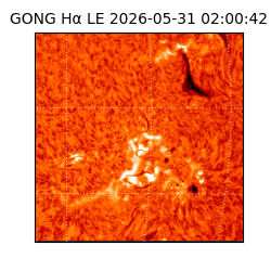 gong - 2026-05-31T02:00:42