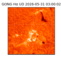 gong - 2026-05-31T03:00:02