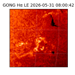 gong - 2026-05-31T08:00:42