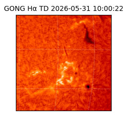 gong - 2026-05-31T10:00:22