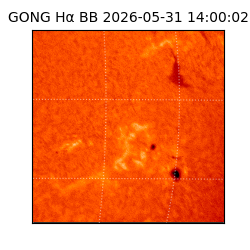 gong - 2026-05-31T14:00:02