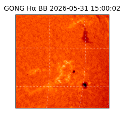gong - 2026-05-31T15:00:02