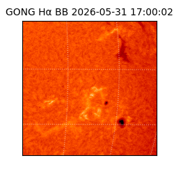 gong - 2026-05-31T17:00:02