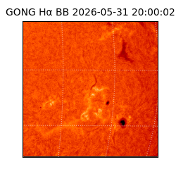 gong - 2026-05-31T20:00:02