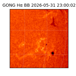 gong - 2026-05-31T23:00:02