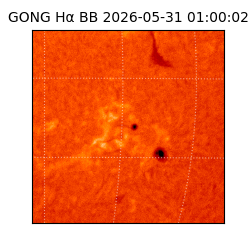 gong - 2026-05-31T01:00:02