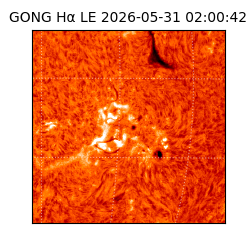 gong - 2026-05-31T02:00:42