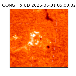 gong - 2026-05-31T05:00:02