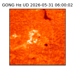 gong - 2026-05-31T06:00:02