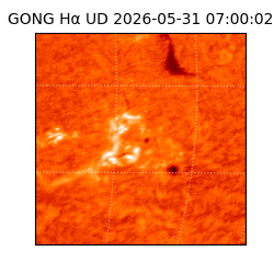 gong - 2026-05-31T07:00:02