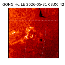 gong - 2026-05-31T08:00:42