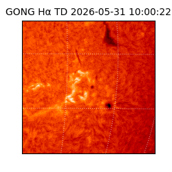 gong - 2026-05-31T10:00:22