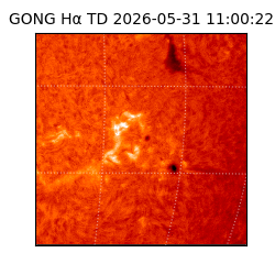 gong - 2026-05-31T11:00:22