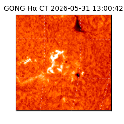 gong - 2026-05-31T13:00:42
