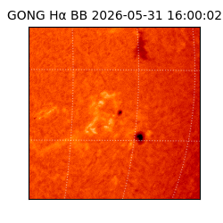 gong - 2026-05-31T16:00:02