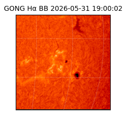 gong - 2026-05-31T19:00:02