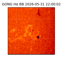 gong - 2026-05-31T22:00:02