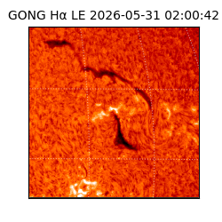 gong - 2026-05-31T02:00:42
