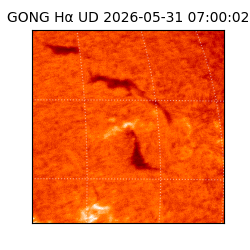gong - 2026-05-31T07:00:02