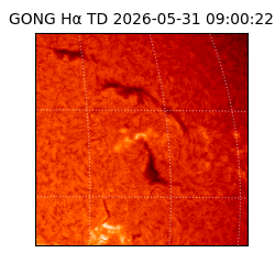 gong - 2026-05-31T09:00:22
