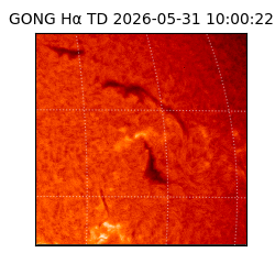 gong - 2026-05-31T10:00:22