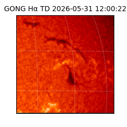 gong - 2026-05-31T12:00:22