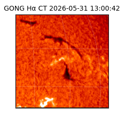gong - 2026-05-31T13:00:42