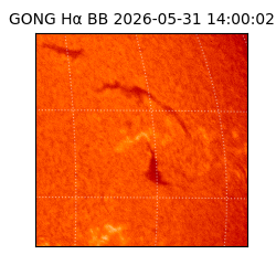 gong - 2026-05-31T14:00:02