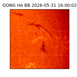 gong - 2026-05-31T16:00:02