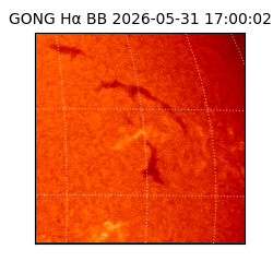 gong - 2026-05-31T17:00:02