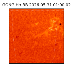 gong - 2026-05-31T01:00:02