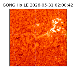 gong - 2026-05-31T02:00:42