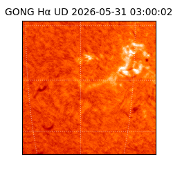gong - 2026-05-31T03:00:02