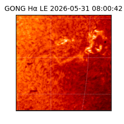 gong - 2026-05-31T08:00:42