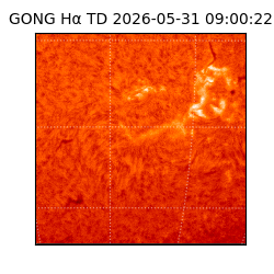 gong - 2026-05-31T09:00:22