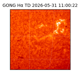 gong - 2026-05-31T11:00:22