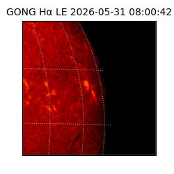 gong - 2026-05-31T08:00:42