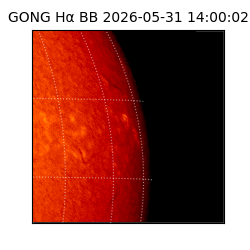 gong - 2026-05-31T14:00:02