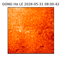 gong - 2026-05-31T08:00:42