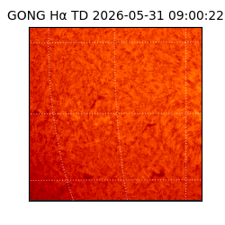 gong - 2026-05-31T09:00:22