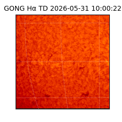 gong - 2026-05-31T10:00:22