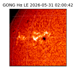 gong - 2026-05-31T02:00:42