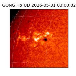gong - 2026-05-31T03:00:02