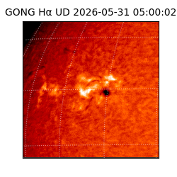 gong - 2026-05-31T05:00:02